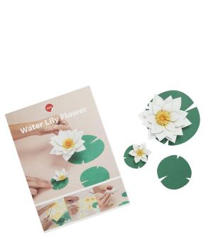 Diy Paper Flower Water Lily