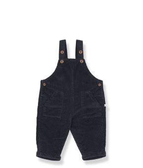 one-more-in-the-family-139404-blauw 1