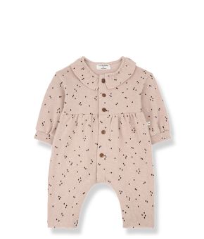 one-more-in-the-family-139418-roze 1